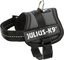 Julius K9 - Harnais Baby Anthracite pour Chien - 1 XS 29/36cm Indicateur image numéro 1