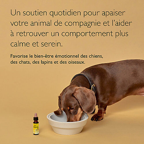 Rescue Pets - M&eacute;lange Compte-gouttes Fleurs de Bach - 20ml Image num&eacute;ro 3