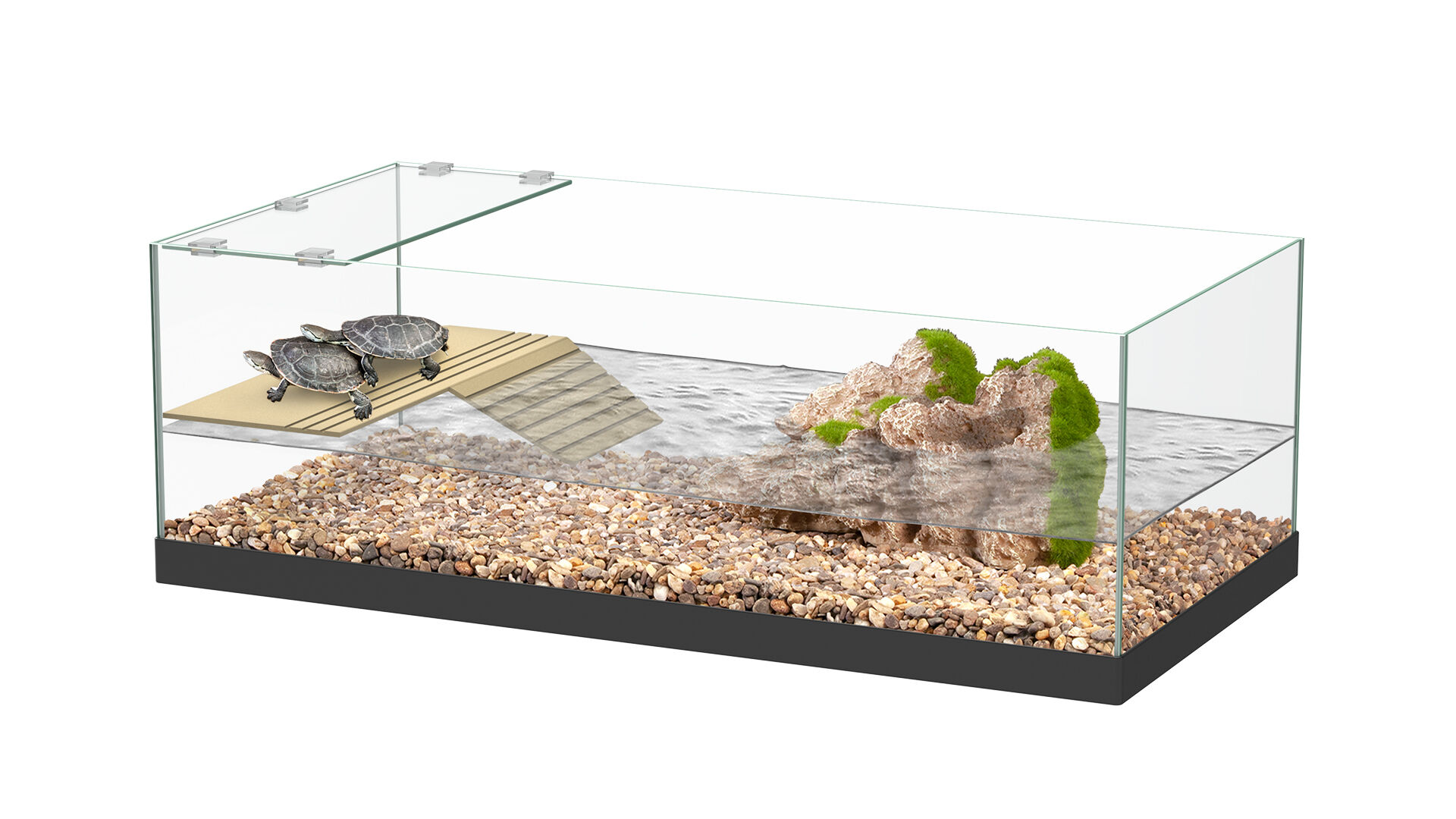 Aquadisio - Kit Tortue Aquatique - 60x30x20cm Image num&eacute;ro 1