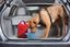 Kurgo - Sac de Transport Croquettes pour Chiens - Rouge Indicateur image numéro 5