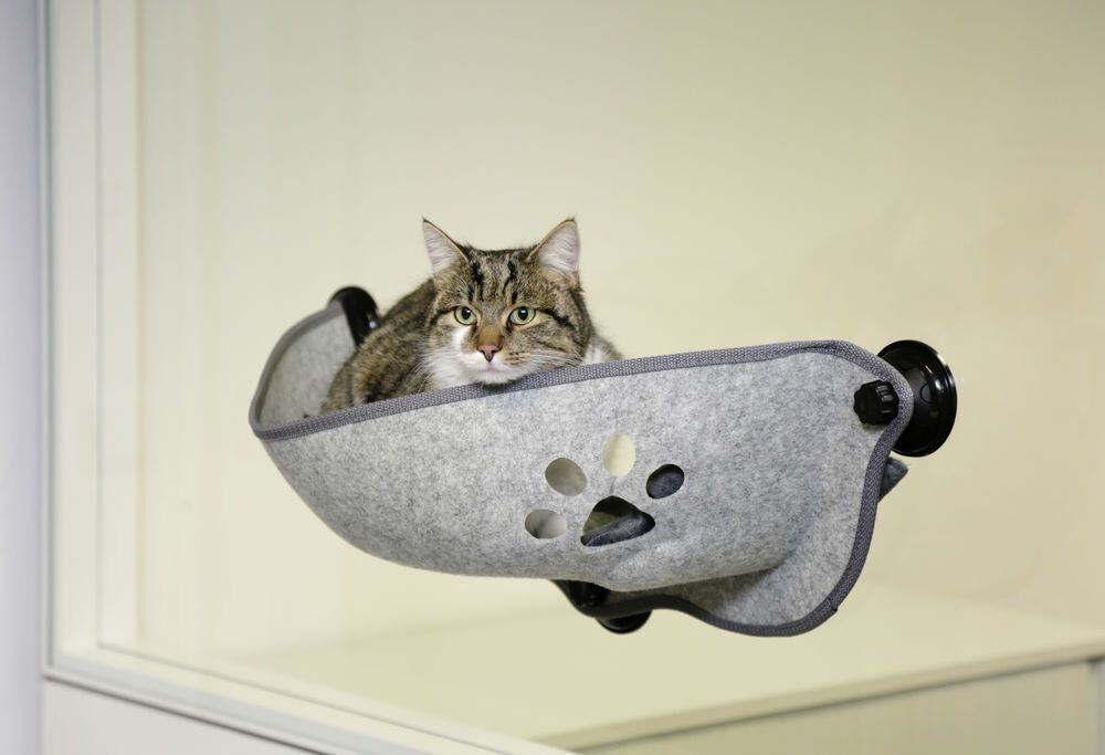 Kerbl - Hamac de Fen&ecirc;tre Filzino pour Chat Image num&eacute;ro 4