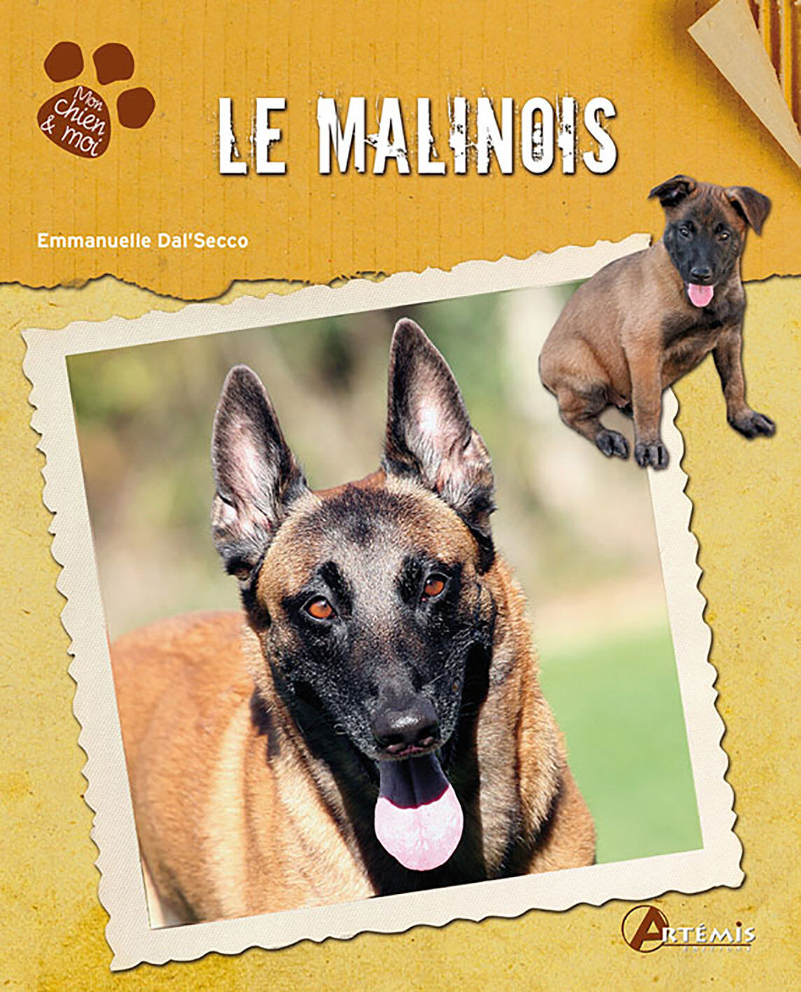 Art&eacute;mis - Le Malinois Image num&eacute;ro 1