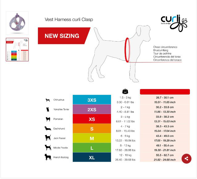Curli - Laisse Amortissante Stretch Comfort Lavendel pour Chiens - L Image num&eacute;ro 2