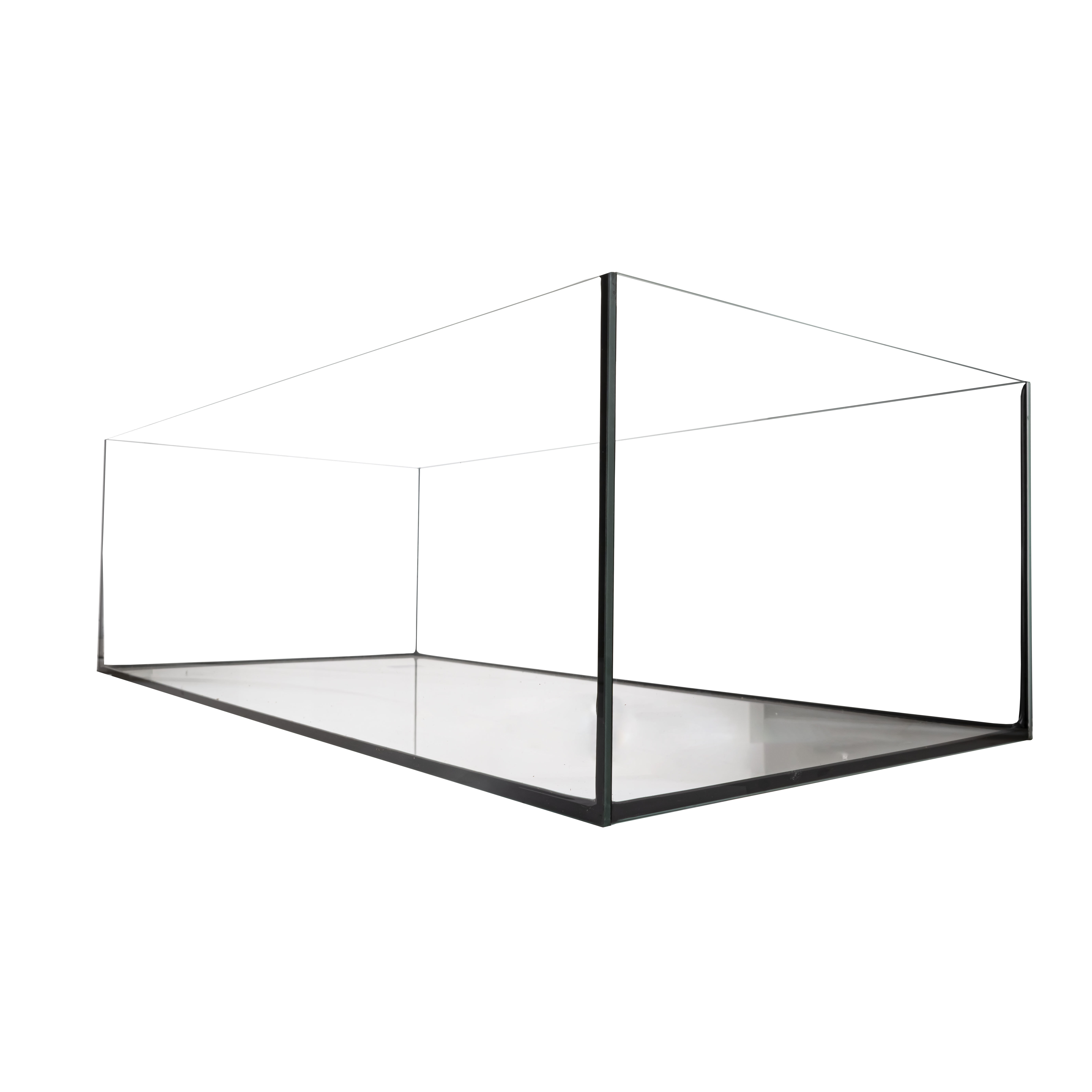 Aquavie - Kit de D&eacute;marrage Axolotl 80 - 80x40x25cm Image num&eacute;ro 3