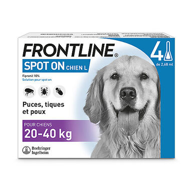 Frontline - Pipettes Antiparasitaire pour Chien de 20 à 40Kg - 4x2,68ml