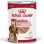 Royal Canin - Pâtée en Mousse Medium Adult M - 410g Indicateur image numéro 1