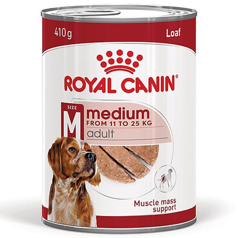 Royal Canin - Pâtée en Mousse Medium Adult M - 410g Image numéro 1 Royal Canin - Pâtée en Mousse Medium Adult M - 410g Image numéro 1