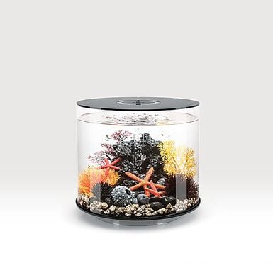 biOrb - Aquarium Tube - 35 mcr noir