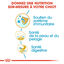 Royal Canin - Croquettes PUPPY COCKER pour Chiots - 3KG Indicateur image numéro 3