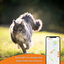 Weenect - Traceur GPS XS Edition 2023 pour Chats - Blanc Indicateur image numéro 4