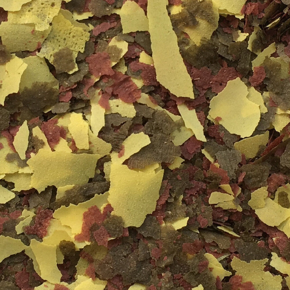 Amtra - Aliment Pro Oranda Flake - 1000ml Image num&eacute;ro 2