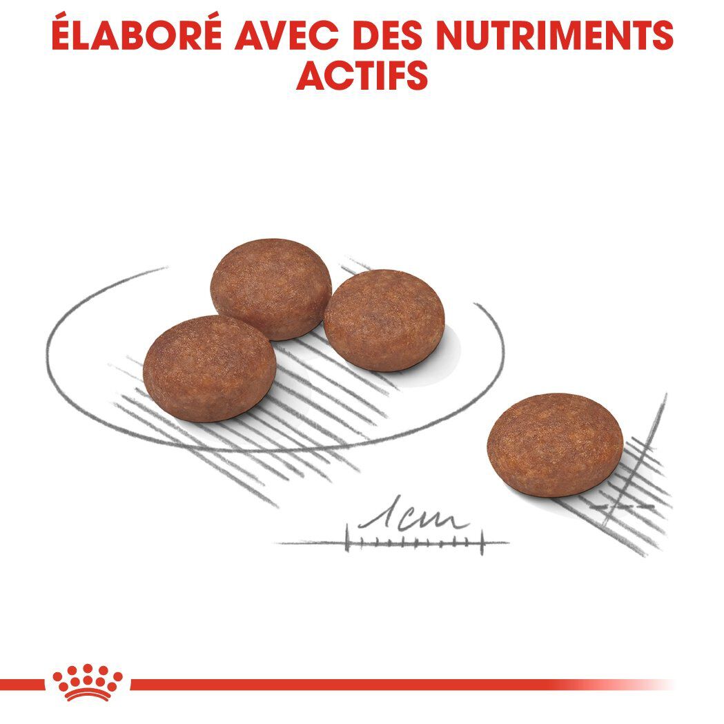 Royal Canin - Croquettes Mini Digestive Care pour Chien - 3Kg Image num&eacute;ro 6