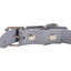 Gotoo - Collier Premium Biotane Gris pour Chien - S Indicateur image numéro 2