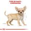 Royal Canin - Croquettes Chihuahua Junior pour Chiot - 1,5Kg Indicateur image numéro 6