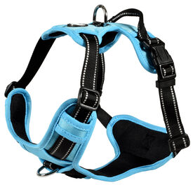 Bobby - Harnais Rando Walk Bleu pour Chiens