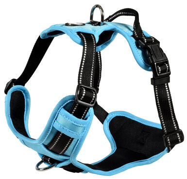 Bobby - Harnais Rando Walk Bleu pour Chiens