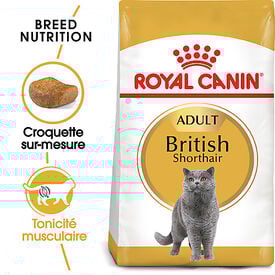 Royal Canin - Croquettes British Shorthair Adult pour Chat