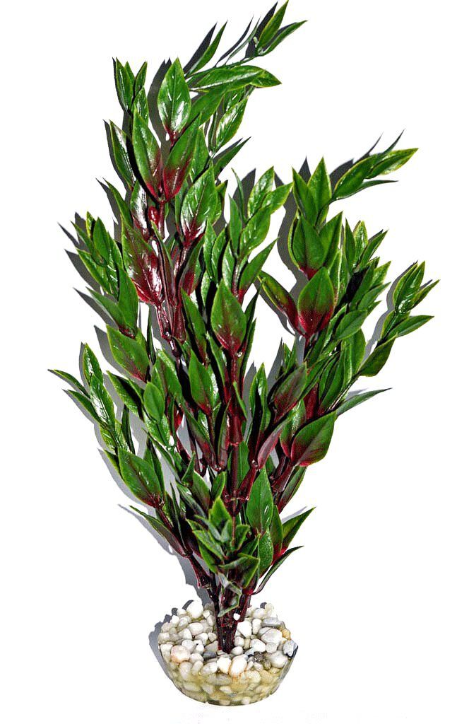 Labeo - Cycared color&eacute; - Plante Artificielle Aquarium Image num&eacute;ro 6