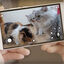 PAWBO - Caméra Interactive Pawbo+ pour Chien et Chat Indicateur image numéro 6