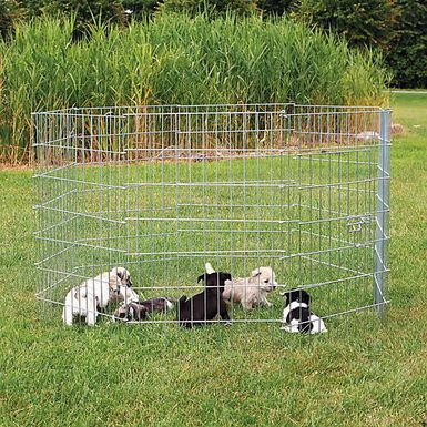 Trixie - Enclos pour petits chiens galvanisé - 154 x 91 cm
