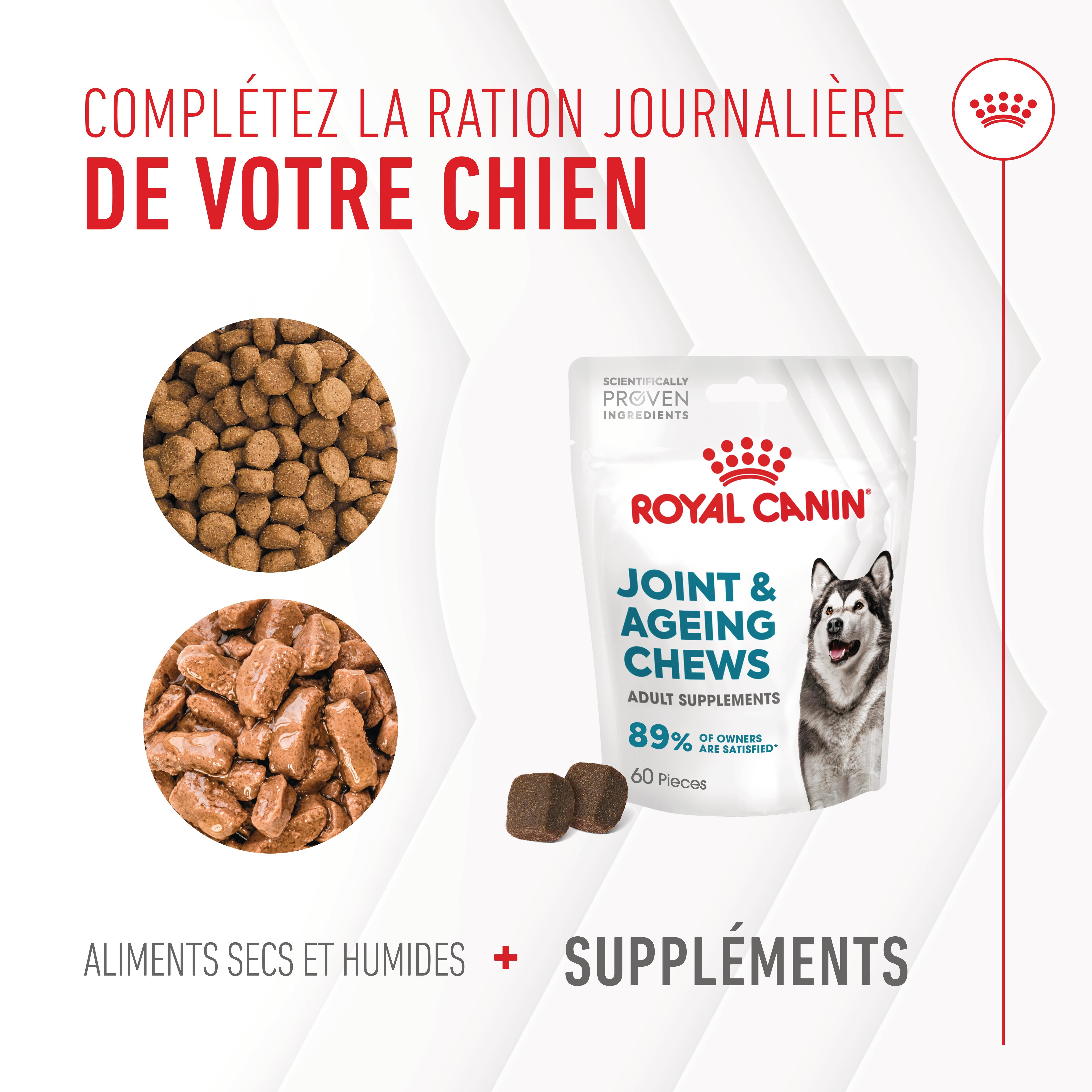 Royal Canin - Aliment compl&eacute;mentaire Adult Joint & Agieing Chews pour Chiens - 240g Image num&eacute;ro 9