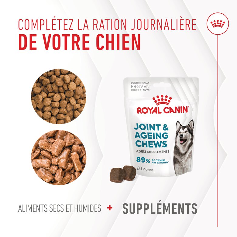 Royal Canin - Aliment complémentaire Adult Joint & Agieing Chews pour Chiens - 240g Image numéro 9 Royal Canin - Aliment complémentaire Adult Joint & Agieing Chews pour Chiens - 240g Image numéro 9