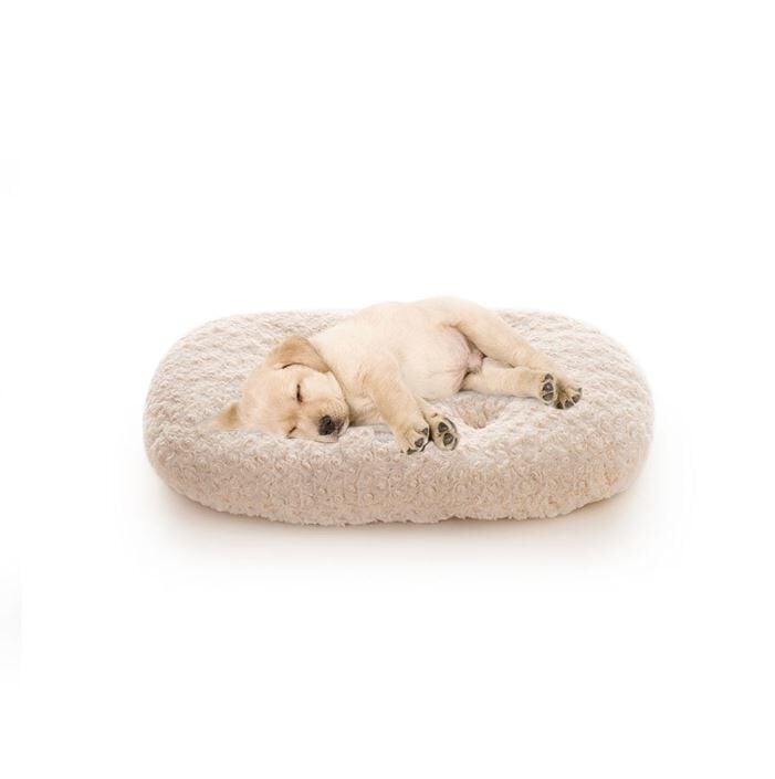 Leeby - Coussin Volutes Beige pour Chiens - S Image num&eacute;ro 1