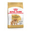 Royal Canin - Croquettes Adult Spitz Nain pour Chien - 1,5Kg Indicateur image numéro 2