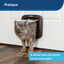 Petsafe - Tunnel Extension Microship pour Chats - Brun Indicateur image numéro 6