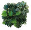 Repto - Décoration Repto Plant Back Wall Mat 25x25 Cm 3 Indicateur image numéro 2