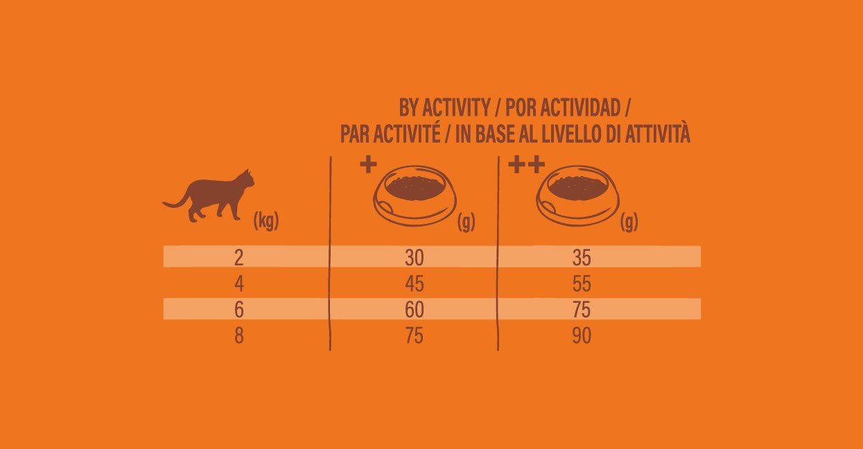 Nature's Variety - Croquettes St&eacute;rilis&eacute; No Grain Au Poulet Pour Chats - 3kg Image num&eacute;ro 4