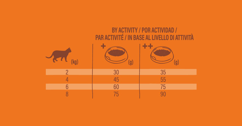 Nature's Variety - Croquettes Stérilisé No Grain Au Poulet Pour Chats - 3kg Image numéro 4 Nature's Variety - Croquettes Stérilisé No Grain Au Poulet Pour Chats - 3kg Image numéro 4