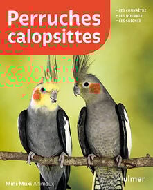 Éditions Ulmer - Perruches calopsittes, les connaître, les nourrir, les soigner