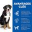 Hill's Science Plan - Adult Croquettes Pour Grand Chien Au Poulet  - 18kg Indicateur image numéro 3