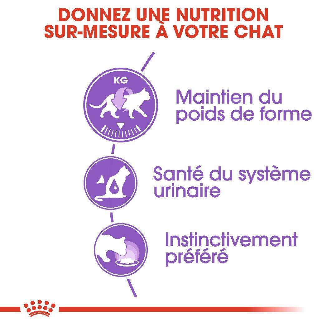 Royal Canin - Sachets Sterilised en Gel&eacute;e pour Chat - 12x85g Image num&eacute;ro 3