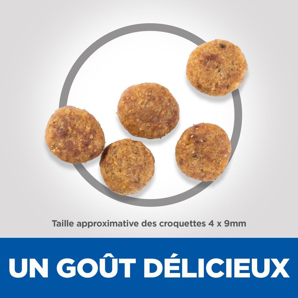 Hill's Science Plan - Adult Perfect Weight Small&Mini Croquettes Pour Petit Chien Au Poulet  - 1,5kg Image num&eacute;ro 3
