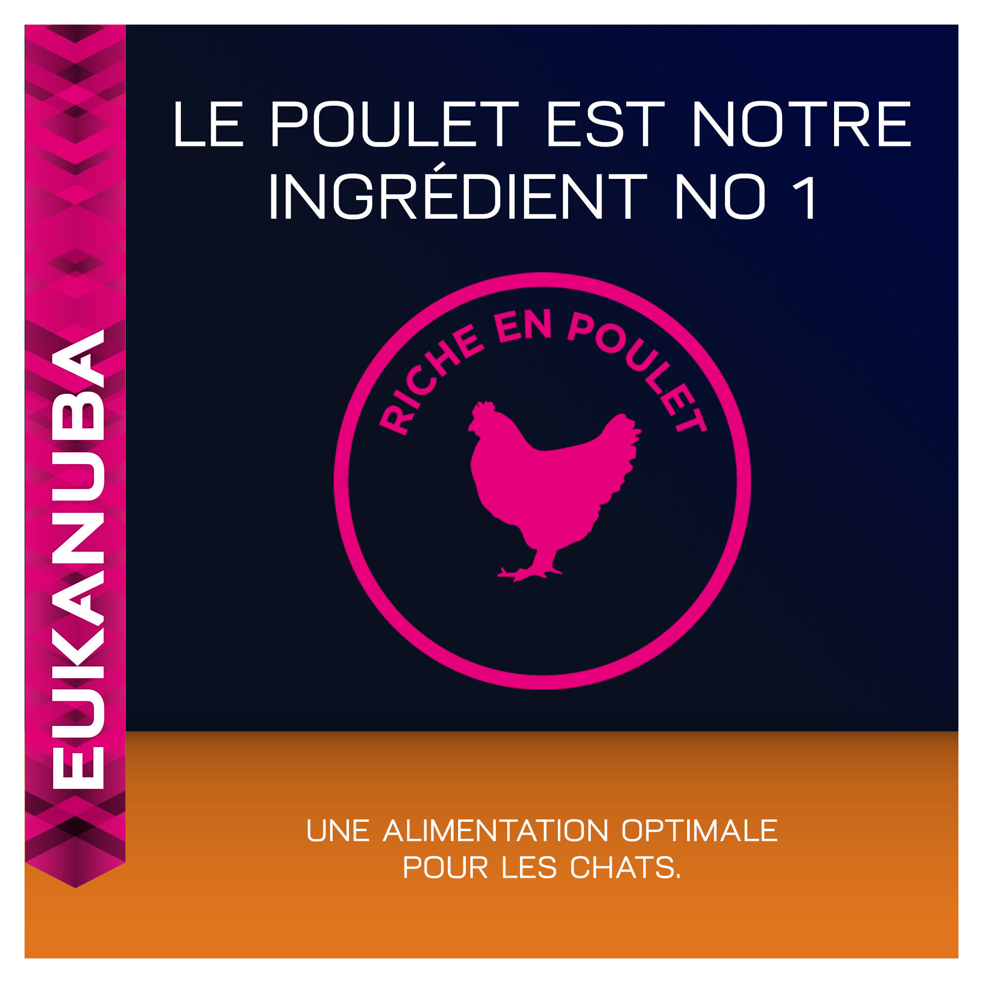 Eukanuba - Croquettes Top Condition 1+ au Poulet et Foie pour Chat Image num&eacute;ro 6