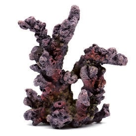 Amtra - D&eacute;coration Reef Rock Branch Series Sm 1