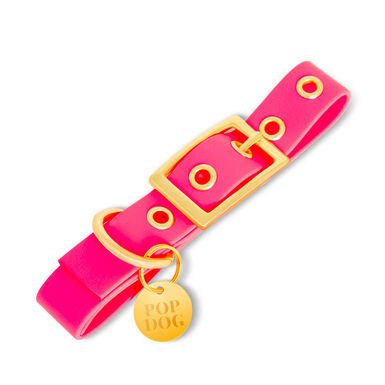 Pop Dog - Collier à ¼illet Glouton Rose pour Chien