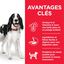 Hill's Science Plan - Adult Croquettes Pour Chien Au Poulet - 14kg Indicateur image numéro 3