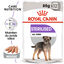 Royal Canin - Sachets Sterilised en Mousse pour Chien - 12X85g Indicateur image numéro 1
