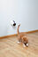 Trixie - Laser-Pointeur Moving Light Indicateur image numéro 2