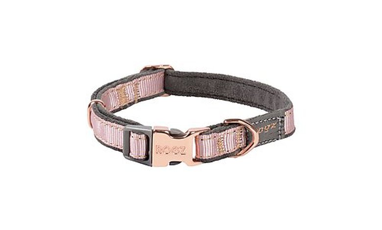 Rogz - Collier Urban Rose pour Chiens - S image number null