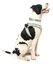 Fuzzyard - Harnais Summer Punch pour Chien - XL Indicateur image numéro 3