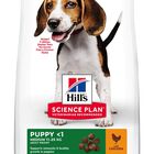 Hill's Science Plan - Croquettes Healthy Development Medium Puppy Poulet pour Chiot - 12Kg image number null