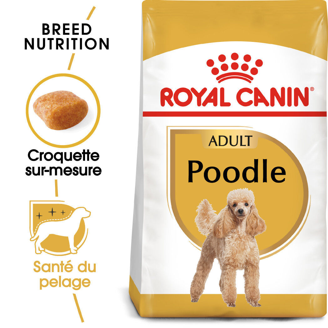 Royal Canin - Croquettes Poodle Adult Caniche pour Chien - 1,5Kg Image num&eacute;ro 1