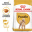 Royal Canin - Croquettes Poodle Adult Caniche pour Chien - 1,5Kg Indicateur image numéro 1