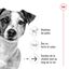 Royal Canin - Croquettes Mini Ageing 12+ pour Chien Senior - 1,5Kg Indicateur image numéro 3