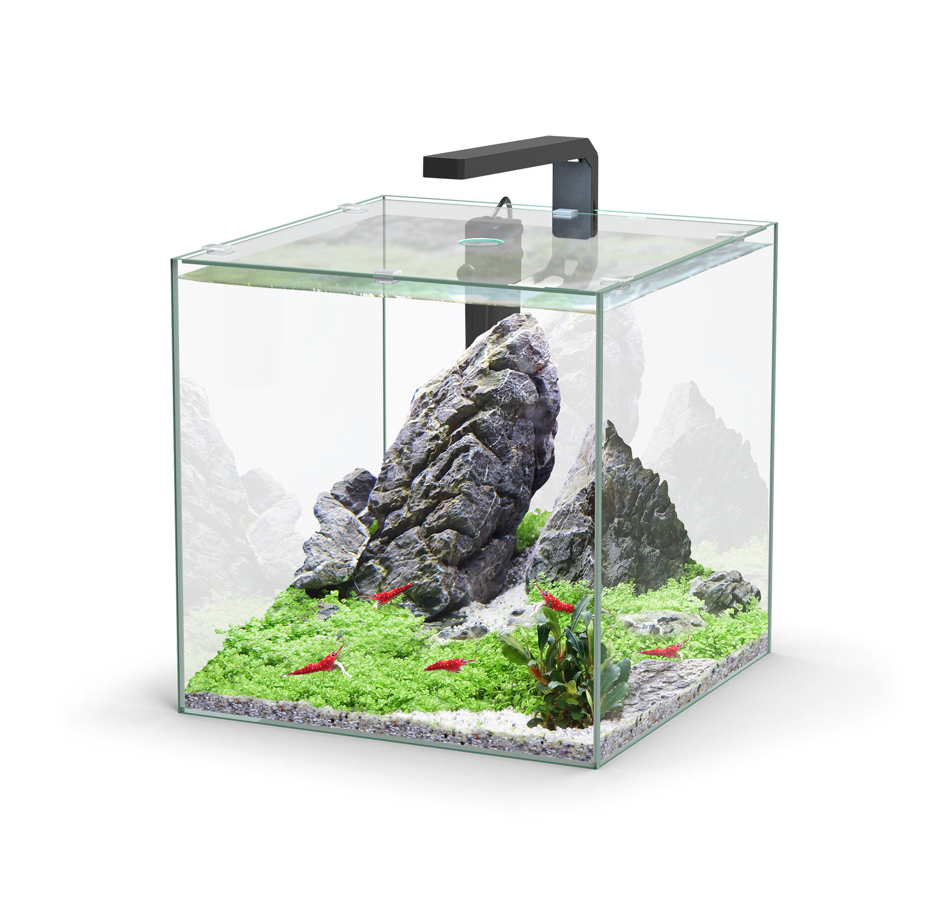 Aquatlantis - Aquarium KUBUS 33 &Eacute;quip&eacute; avec Filtre - 33L Image num&eacute;ro 1