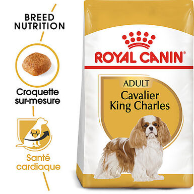 Royal Canin - Croquettes Cavalier King Charles Adult - 1,5Kg